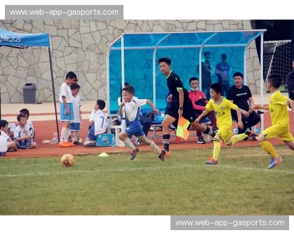 比斯卡拉vs巴勒莫：阿根廷足坛的两颗璀璨明珠，宿命对决燃情绿茵